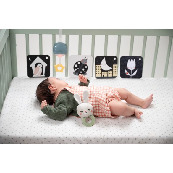 Taf Toys lefekvés előtti játékkészlet - Hello Baby Bedtime kit 